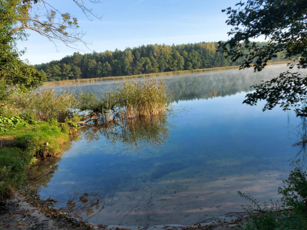 Dom Przy Lesie Villa Wielgie Екстериор снимка